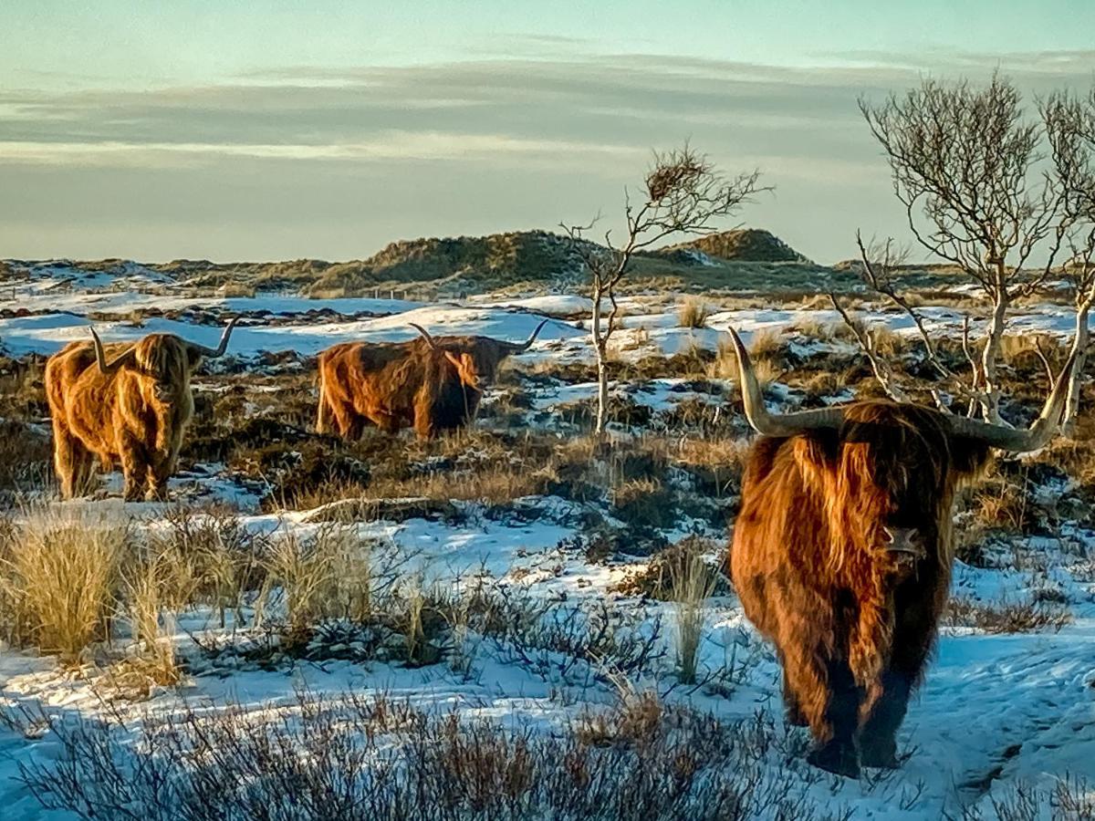 Loods Hotel Vlieland Esterno foto
